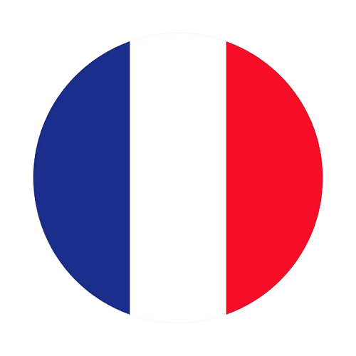 Language